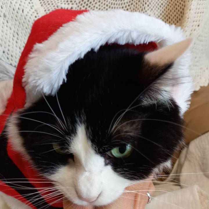 8a2e2c86 2427 4e7f 894f ebb859713855 1606524206671