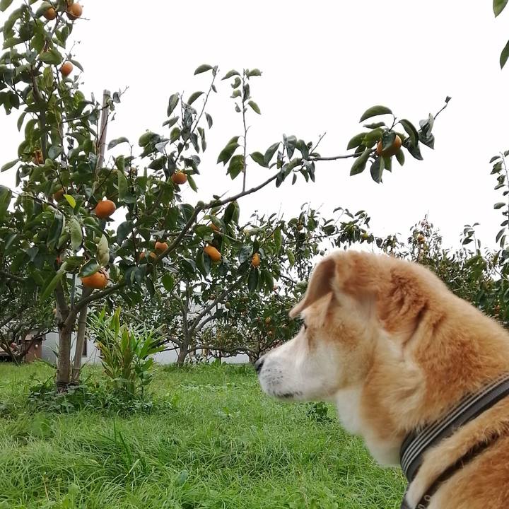 8a2e2dd4 50a2 41b2 8cc5 616019489fc0 1571123294157