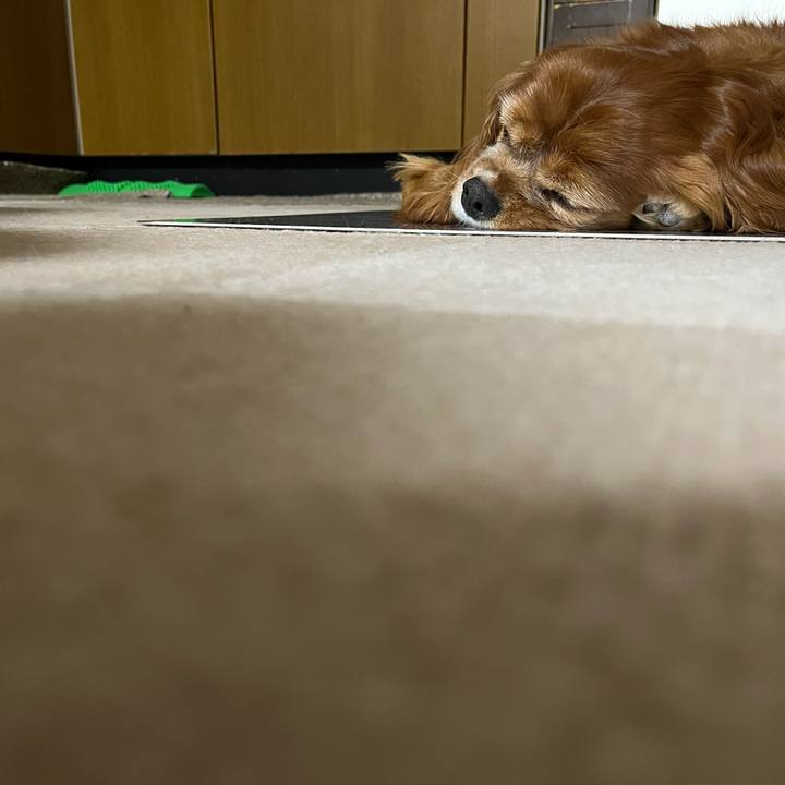 8a2e6e40 8425 4254 ac3f c62984310ff2 1721816482719