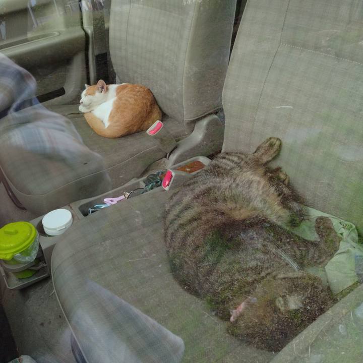 8a2ec1b0 f1b7 4294 993f d30e615c9a55 1729241953557