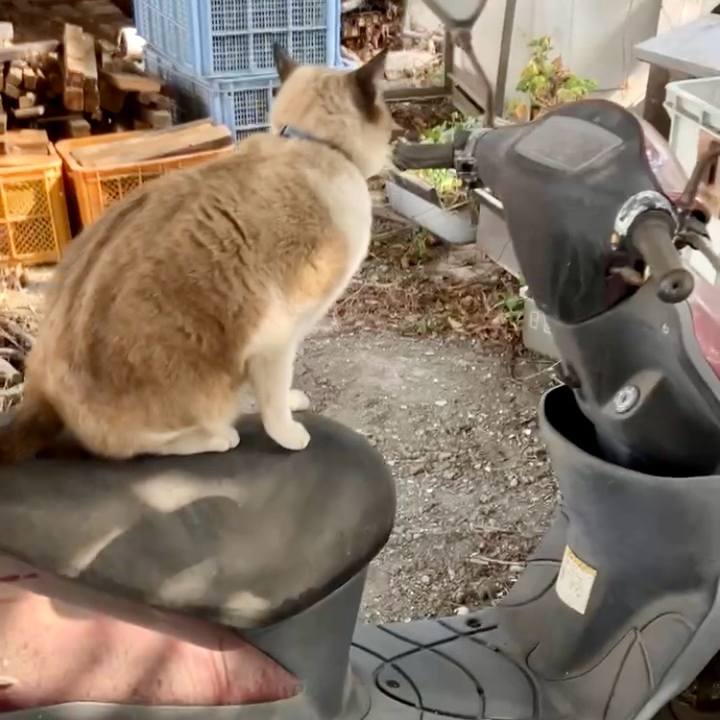 8a2edbf2 967c 4928 8f30 1ec5e5bc7c19 1740192422103