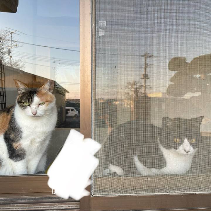 8a2ef6c0 db51 48ad 9b58 50ec7f90d357 1703833418872