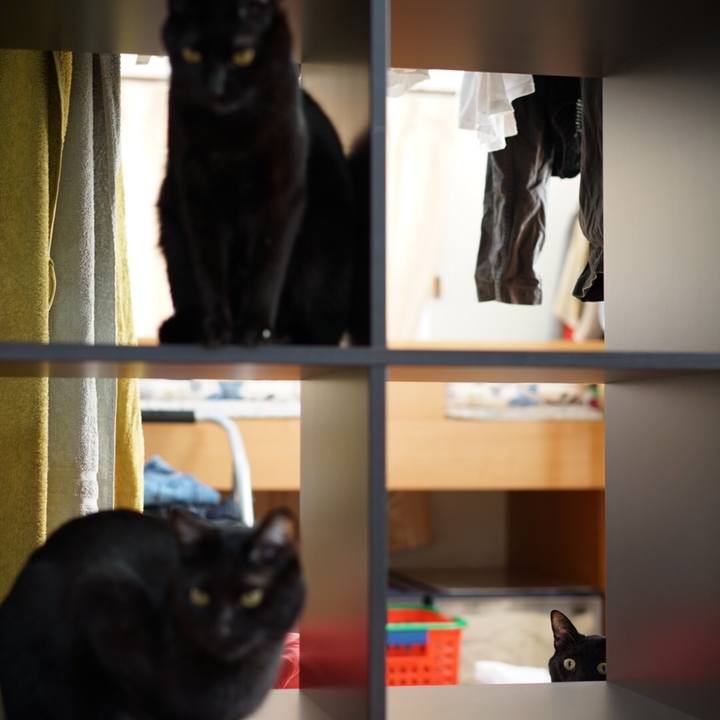 8a2f10d1 57fc 4422 a461 299134a3832d 1552522211587