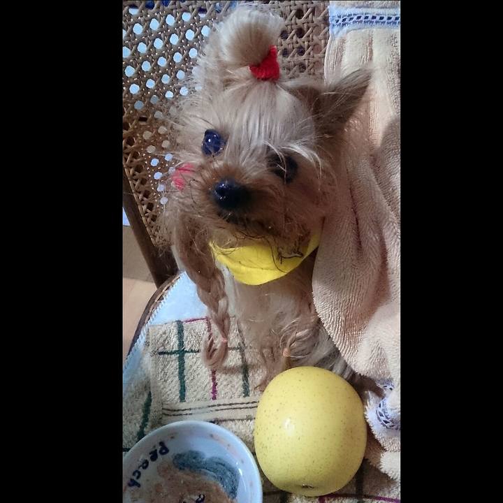 8a2f3277 acb0 4df2 b9e2 fcc032b466d0 1517546322808