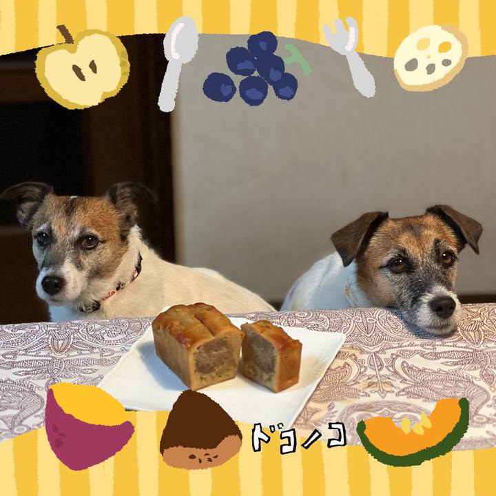 8a2f6601 5b57 43c4 863e 57492819987d 1726833077021