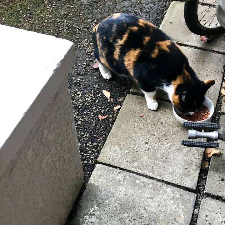 8a2f7c22 9719 49dc 9fd8 fdc4df43f633 1513128428400