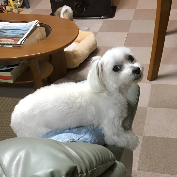 8a2f8a6e 2812 4a25 bc74 e09b5f77c18f 1543387077014