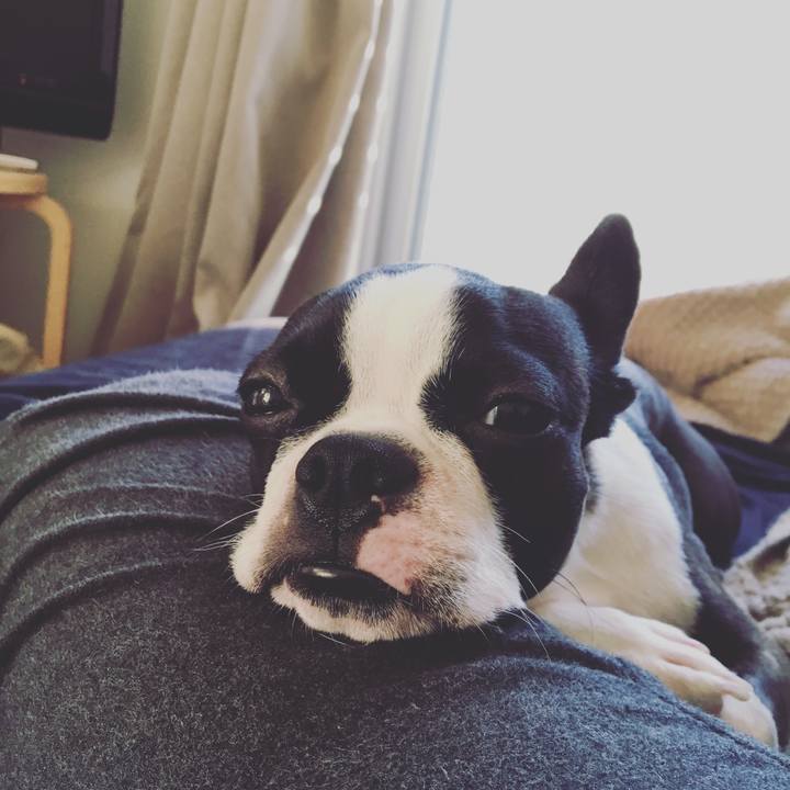 8a2fb573 63e4 4f8a ae48 393d01e574da 1511060050211