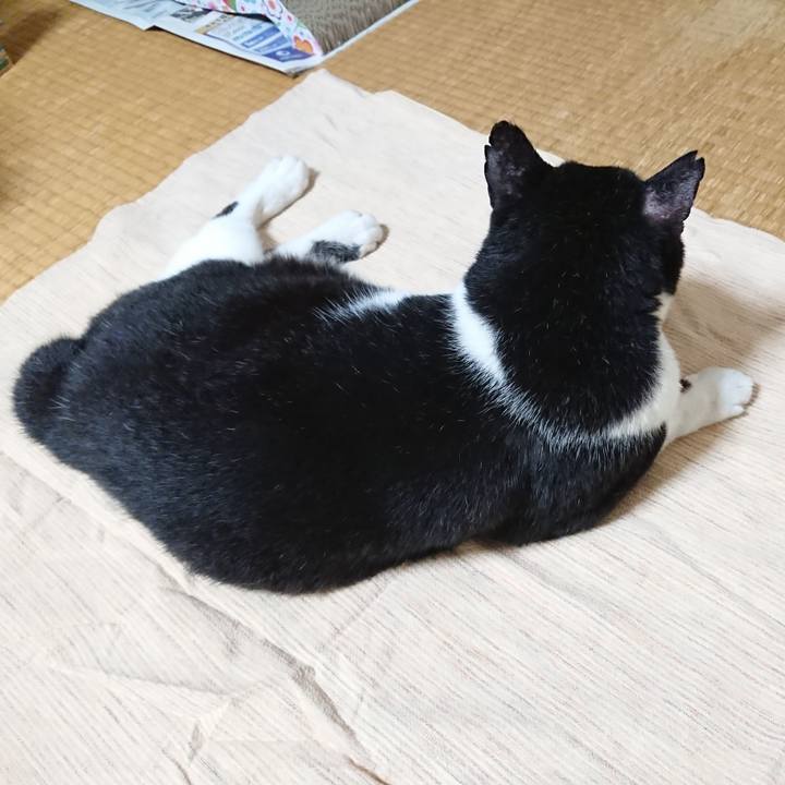 8a301008 3f77 45d5 b10c 29afb3f889d5 1663404933298