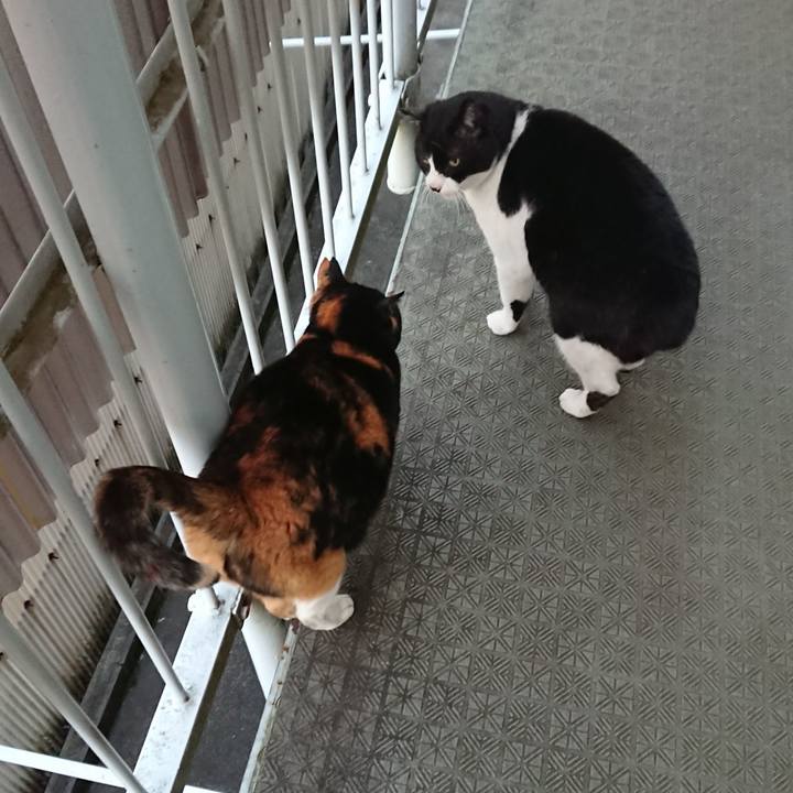 8a3018e3 552e 415b 82b8 5104d0745b8b 1583483816158