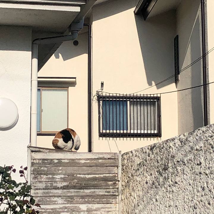 8a303121 2c20 4cd8 9360 8974c4f042d6 1589715344489