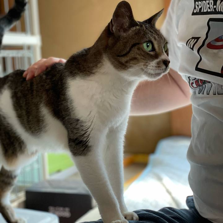 8a303738 b317 43f4 83d5 9e39c7723e2e 1654738162373