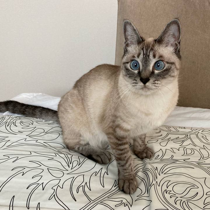 8a30575a 28bb 4bca a23e f1925adc3bec 1624924862889