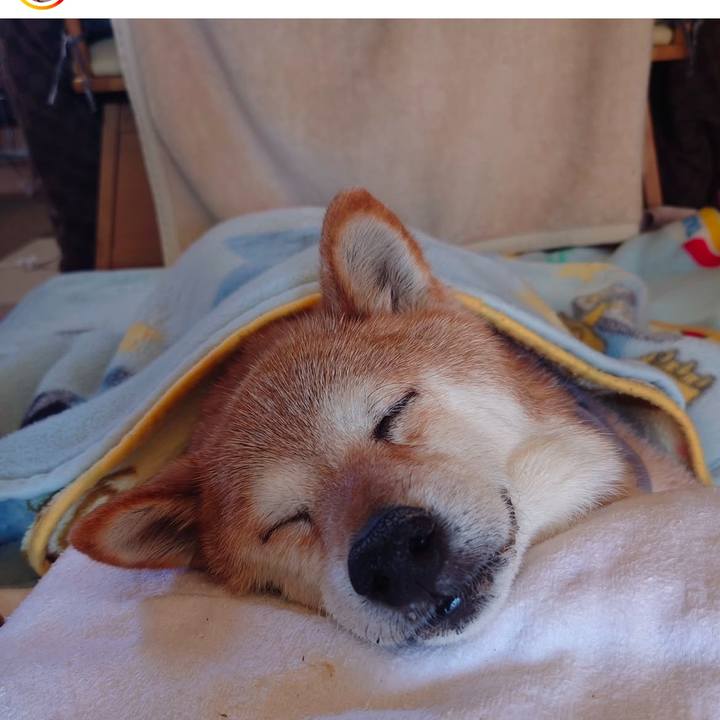 8a3094df e4e3 47f0 8b58 34688edae44d 1740049224729