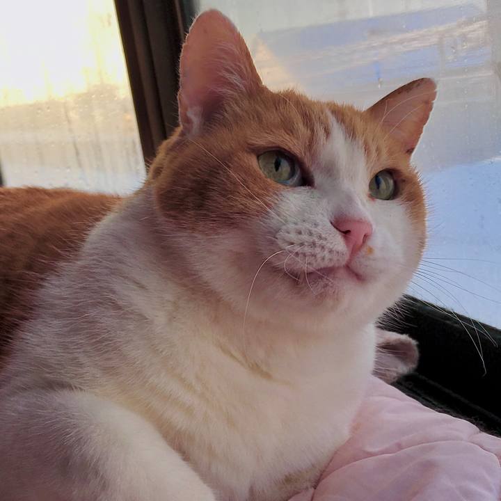 8a30e138 7d3d 4b4c a65f 3e84ffdd35a3 1613629795390