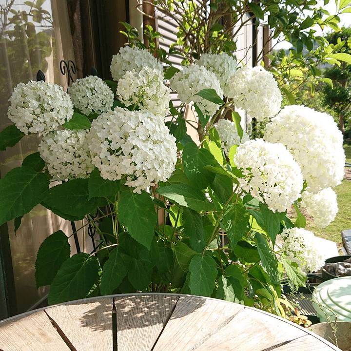 8a30e26a a5a5 467c aafe 013e296f2331 1655009323527