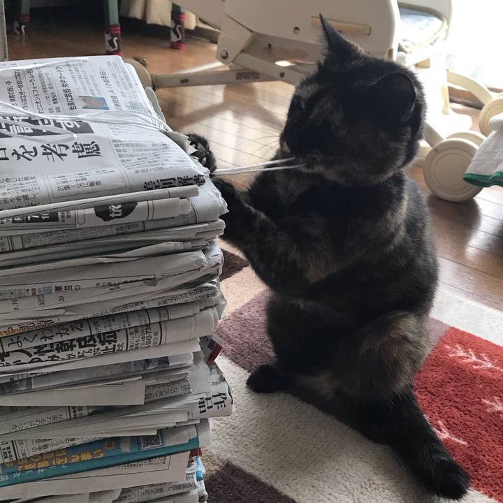 8a30f013 8aa1 4373 8bd8 b8e8cd245121 1564817996448