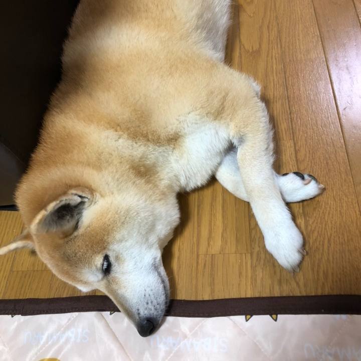 8a30fff6 31e0 4227 8d89 d72de744dc4a 1558273286092