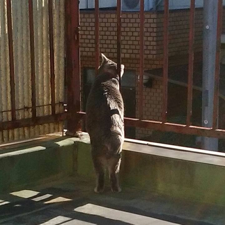 8a3139ea 81a5 4f80 a6ac 437bbf029615 1546476500677