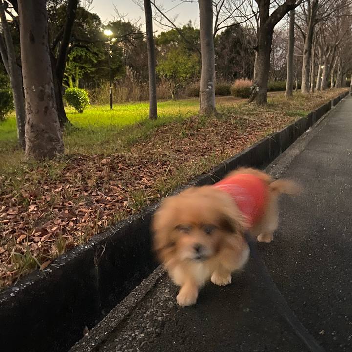 8a313b10 7763 4597 9637 fd21d6dab244 1639345755692