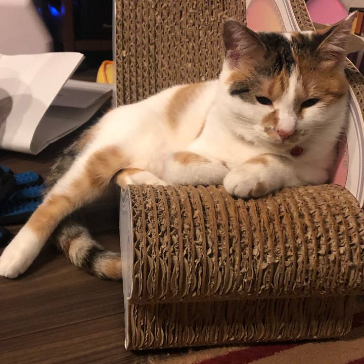 8a313e11 92d9 4b47 9c7c d41460985b9c 1575988258749