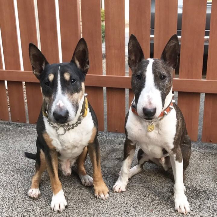 8a31491d 7cfb 4c05 abbf 7d2111fdfe4d 1509867636202