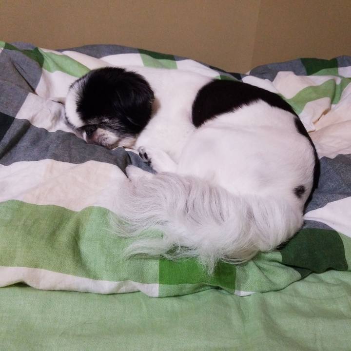 8a315a3d 855f 4592 84ed 95b6042d1721 1593777730447