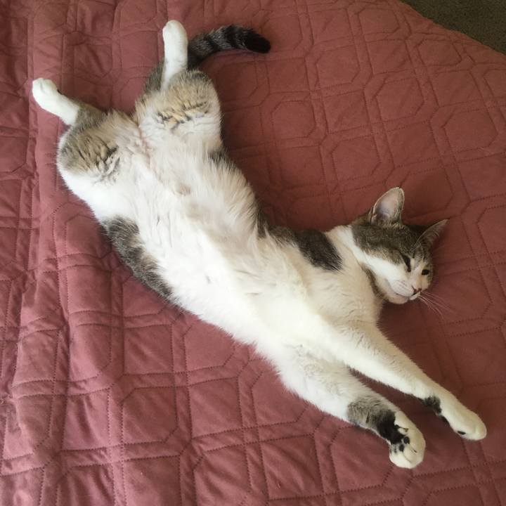 8a316644 2499 4611 acd5 8babfa23d3b9 1654305459229