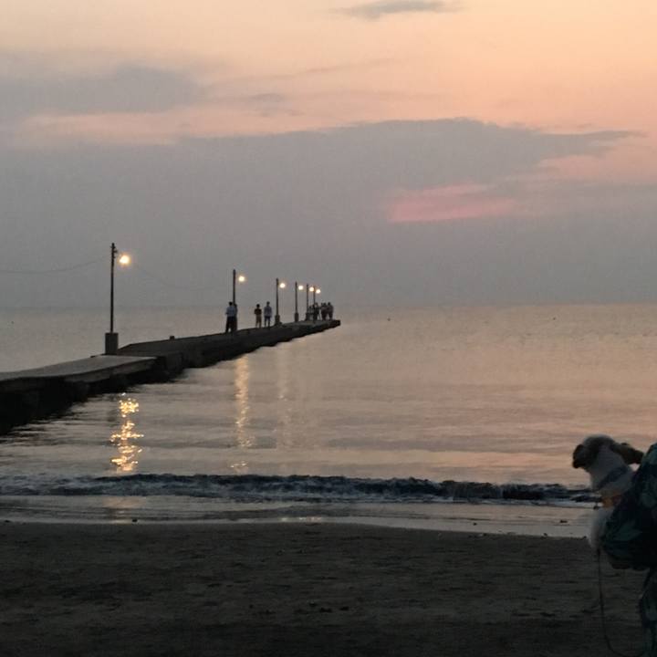 8a31a036 6ca2 4833 a4c3 6c92e75573b6 1533377625280