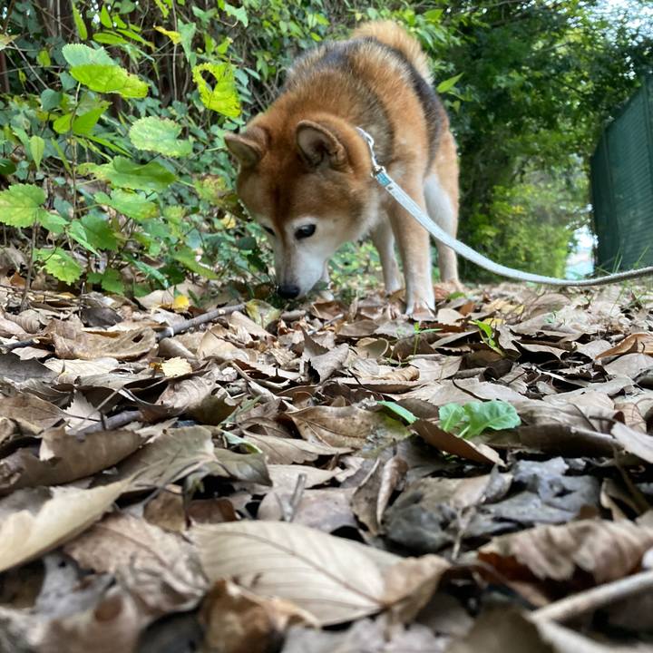 8a31af88 46b2 48c5 bc2a 4270bf542306 1729944623635