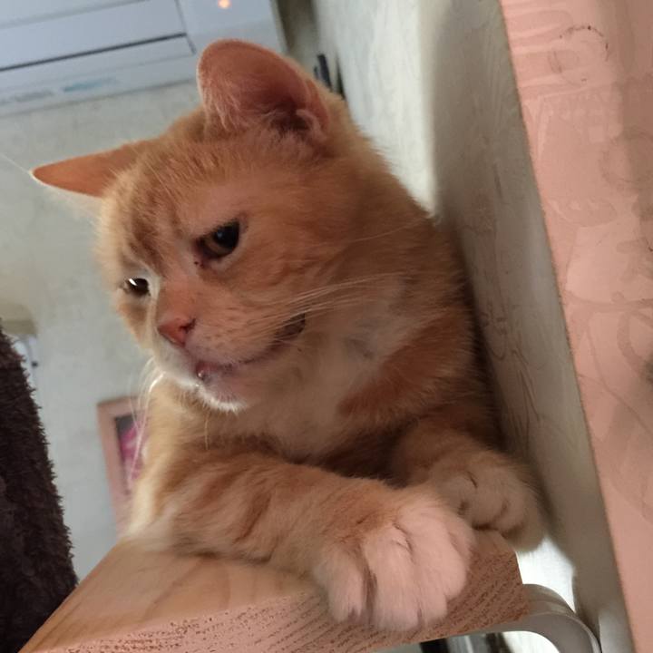 8a31de76 f505 4365 9b44 9412b15e5202 1569914136067