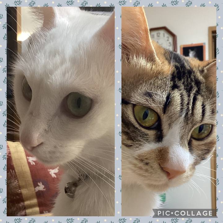 8a31eae9 b01a 43ac a9e3 b4e4b4ebd9db 1673044678329