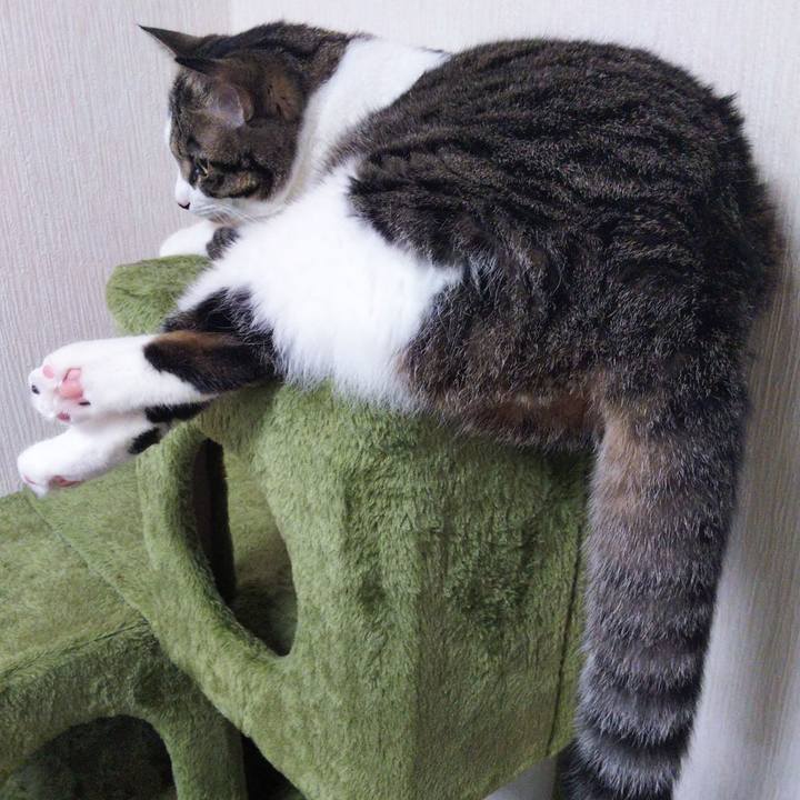 8a31fb04 6fad 4dac afea 0c37579b17d2 1628677077976