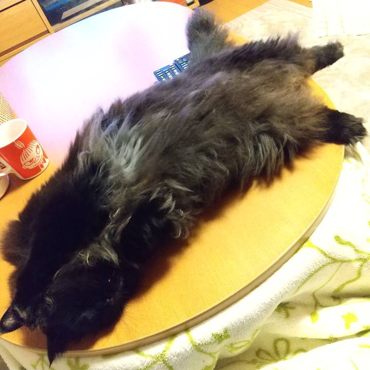 8a325048 508a 4bd4 92ae 445a8eb0ccf1 1644583244583