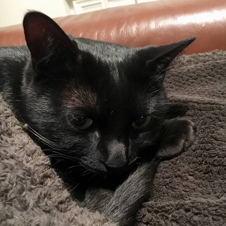 8a327716 2c36 450d 847a 54e20d473742 1516460309820