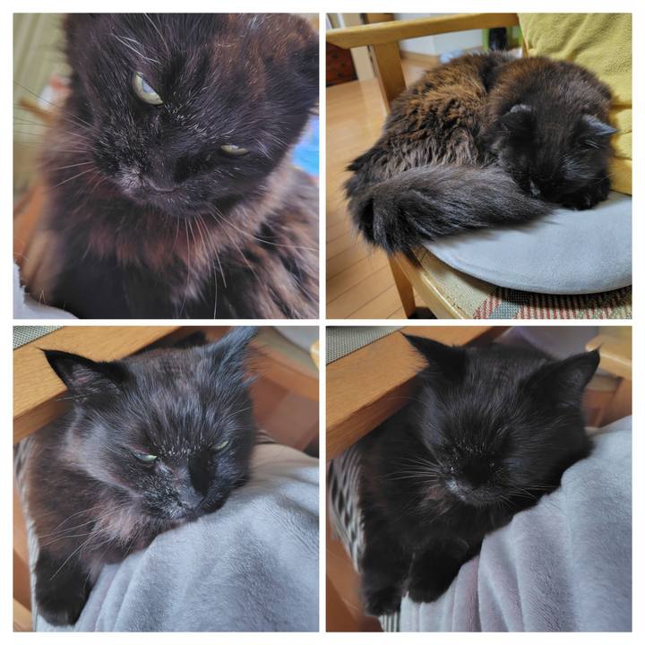 8a32838f 184c 429e 8c79 8dfaab35416d 1775086147060