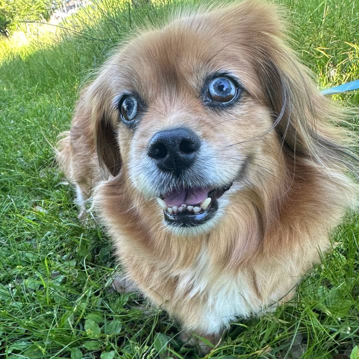 8a32b5a3 1759 4938 b3e0 f8f0debd33d3 1716596047780