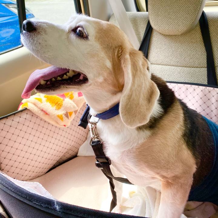 8a32c028 f242 46c8 a45c 79869e19f5fe 1620708726343