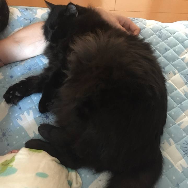 8a32c516 96a5 4c14 9ee4 d6d681735145 1544231309895