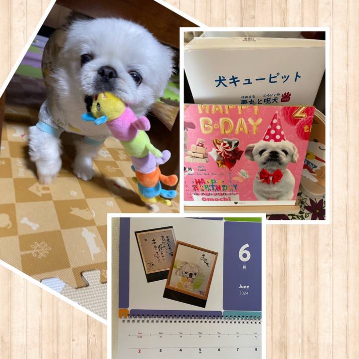 8a32ddde 142c 473f 9cd2 bcb496844f72 1717210612316