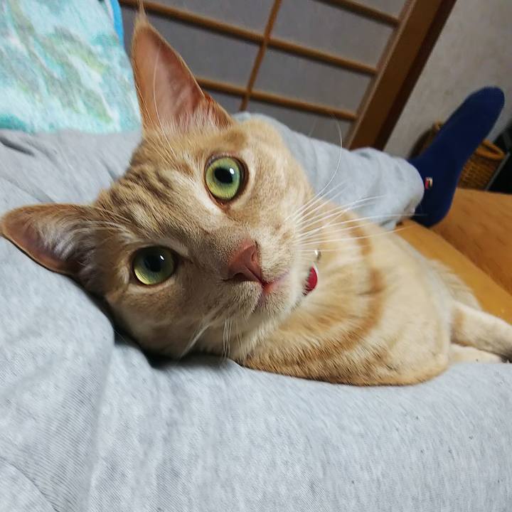 8a3330c6 4a24 4632 a788 5061e35bb133 1586080779450