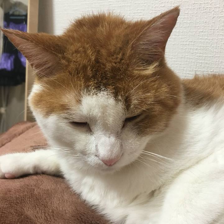 8a333b82 8dcc 4760 9daf 0a34ebf36af4 1539182108370