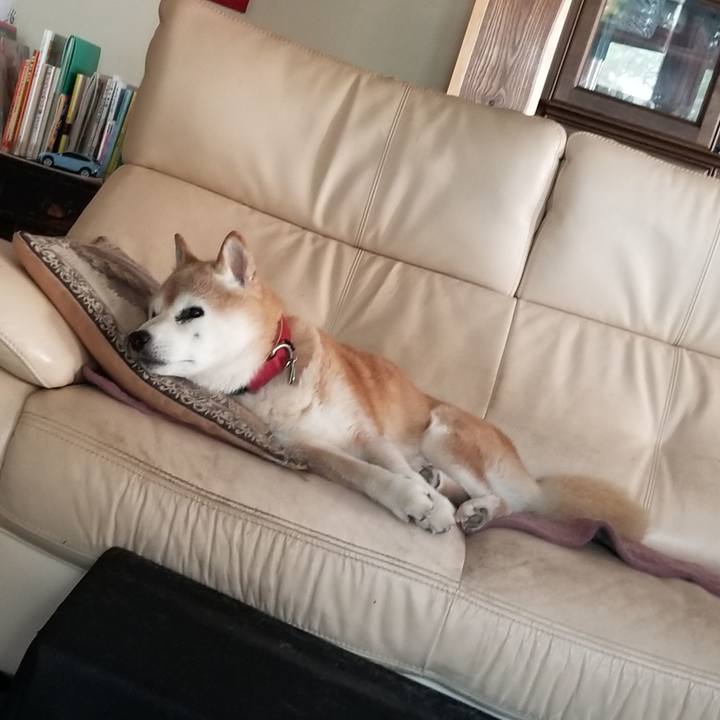 8a338046 2252 4646 b9e6 9d731342f71a 1756193926986