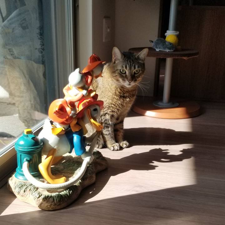 8a3394eb 927b 4683 ba21 802e55fbb937 1552092017478