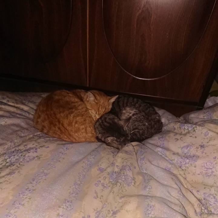 8a33a7fe ca34 4909 82b9 5bd03f9d639e 1588006813976