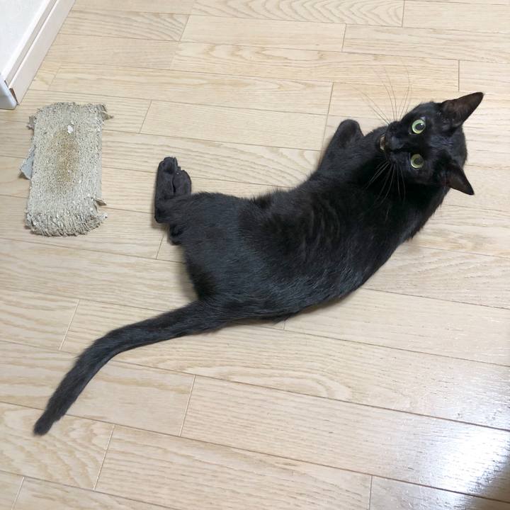 8a33cae5 ea00 4ab7 9d33 67b888aa27c3 1593698470664