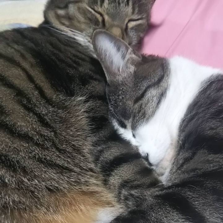 8a33dd0f f90b 4e4a 9cae 50e972e7efda 1603702060717