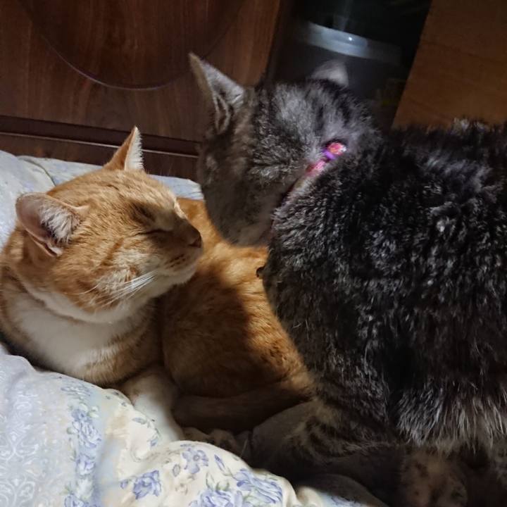 8a341e82 b714 410a abc4 d5b0bdd57ce1 1579693660741