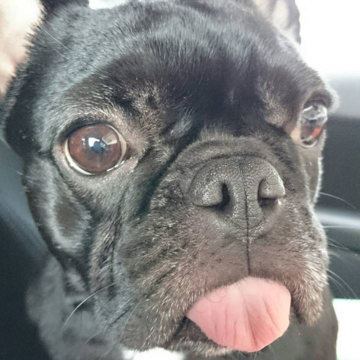 8a3449d6 7530 46b2 a4e7 efadc4e191b7 1511749401509