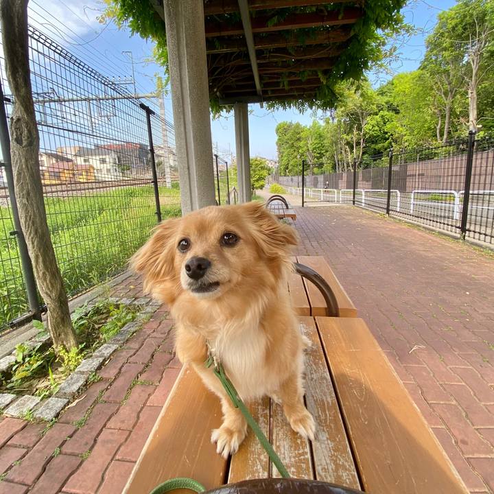 8a344b63 7d9b 419a a520 b4472ce907af 1620526989941